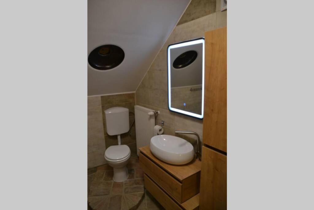 Villam Apartment Maribor Ngoại thất bức ảnh